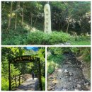1058차 7월14일 홍천 미약골 트레킹 이미지