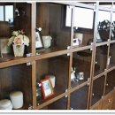 천사 애견 이미지