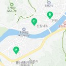 비에치씨치킨피자 이미지