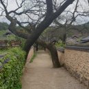 남사리민박 이미지