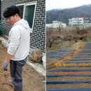 뭉치농장 이미지