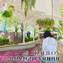 유성 족욕체험길 | 대전 당일치기 여행 무료 코스 추천 유성온천 족욕체험장