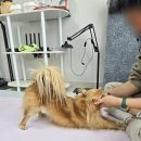 온기헬스케어