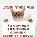 왜관동물병원 이미지