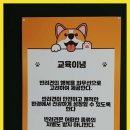 킹스키즈 개린이집 | 인천부평애견유치원 부평의 보석, 킹스키즈 개린이집에서의 풍성하고 행복한 시간