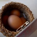 들깨마을 맷돌순두부 이미지