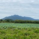 물향기공원 이미지