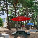 큰시내들펜션 | 강릉 강릉시내 삼척 포레스트펜션 자연 속 힐링 제대로! 펜션 내돈내산 후기예요.