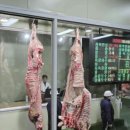 홍성한우 이미지