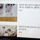 술선생잭치킨매니아 이미지