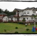 라이징 썬 이미지