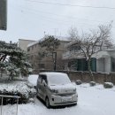 우리성모약국 이미지