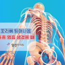 꼬리뼈가 아픈 이유 5가지 및 대처 방법 : 꼬리뼈 통증(골절 금 타박상) 이미지