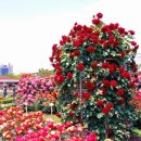 별빛달빛 이미지