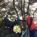 흑염소목장 이미지