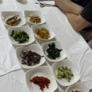 강뜨락팬션 | 인제 여행 강뜨락펜션 솔직후기(인제 자작나무숲, 자작나무)