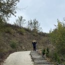 스테이700 | 경북 캠핑장 추천 인생캠핑 가능한 군위 스테이700