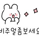 베르디플라워 이미지