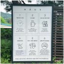 별에서온쑥 | 양평 문호리 하우스베이커리 매력적인 쑥카스테라와 하우스커피 꿀 조합