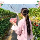 엔도르핀농장 이미지