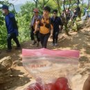 수원-0531 이미지