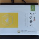 법인자연 이미지