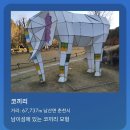 2025년 5월 2째주, 그 날들의 기록(종방운영, 트래블쇼, 윈브레팝업, 아오키네잡화점)