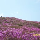 작년에갔던
