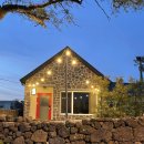 제주촌캉스 이미지