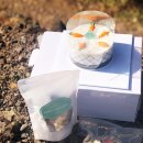 도기키친 프롬제주 | 제주 강아지 케이크 파는 도기키친 프롬제주