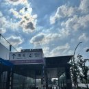 벨라피부샵