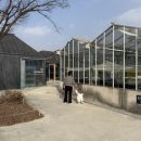 (주)스퀘어팜 | 충북 진천 가볼만한 이월면 카페 '뤁 스퀘어 (Root Square)' - 아이랑 함께 농촌 체험도 가능했던 곳