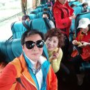 하담숲 이미지