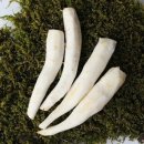 더덕 이미지