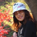 김수아 카카오 검색결과