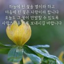 ♤인간관계♧ 이미지