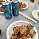 태안 알로하오에 애견풀빌라 이미지