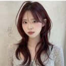 모울 이미지