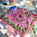영산휴게소
