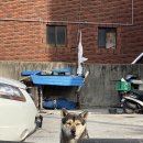 대전 성심당ㅣ태평소국밥ㅣ공주칼국수ㅣ먹으러 떠난 것 같은 휀걸들의 첫 외박