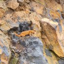 문개항아리스톤하우스 이미지