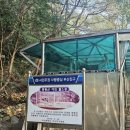 황령산 금성사 | 세계 일주🌍 준비 과정 -01 체력운동(부산 황령산)