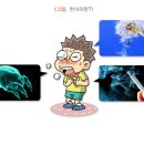 식  천 이미지