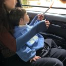 처인구포곡읍민원실_R | 아기랑 에버랜드 :: 로스트밸리 스페셜투어 후기