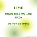 코지시엘 이미지