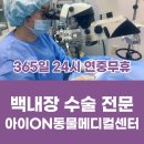 용인해성동물병원 이미지