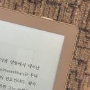 오닉스(ONYX) | 이북리더기 Onyx 오닉스 포크 6 내돈내산 후기 | 장단점 | 액세서리 (보호필름, 정품케이스, 파우치)