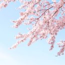 삼원색컴퍼니협동조합