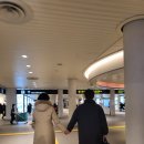 2017-03-0110 | [2025] 홋카이도 03