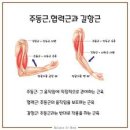 피트니스스퀘어 서면